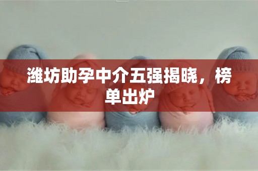 潍坊助孕中介五强揭晓，榜单出炉