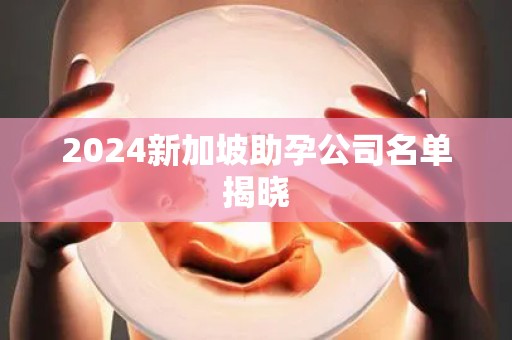 2024新加坡助孕公司名单揭晓
