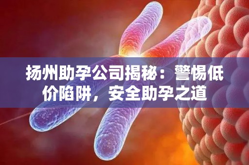 扬州助孕公司揭秘：警惕低价陷阱，安全助孕之道