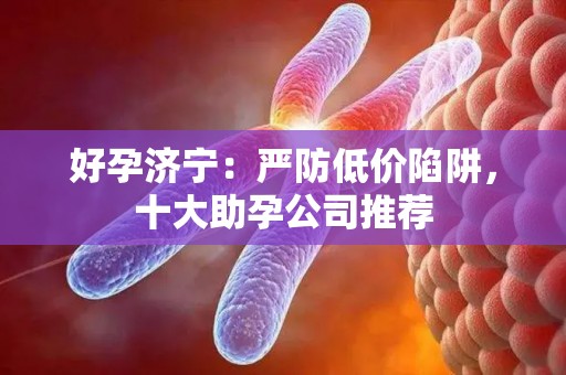好孕济宁：严防低价陷阱，十大助孕公司推荐