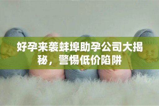 好孕来袭蚌埠助孕公司大揭秘，警惕低价陷阱