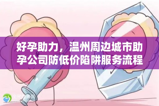 好孕助力，温州周边城市助孕公司防低价陷阱服务流程