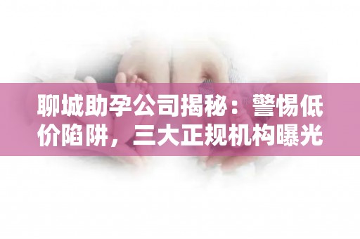 聊城助孕公司揭秘：警惕低价陷阱，三大正规机构曝光