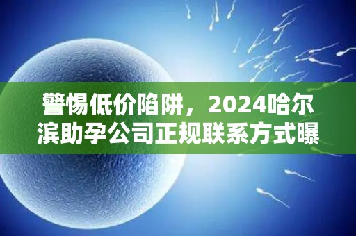 警惕低价陷阱，2024哈尔滨助孕公司正规联系方式曝光