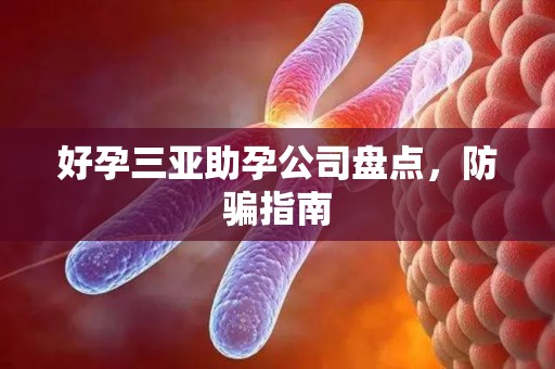 好孕三亚助孕公司盘点，防骗指南