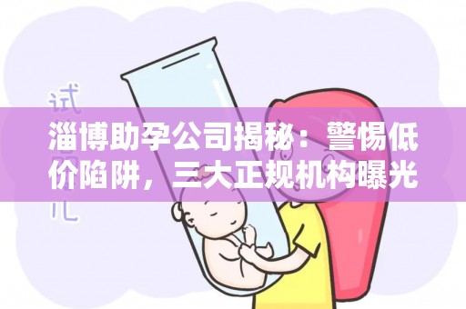 淄博助孕公司揭秘：警惕低价陷阱，三大正规机构曝光