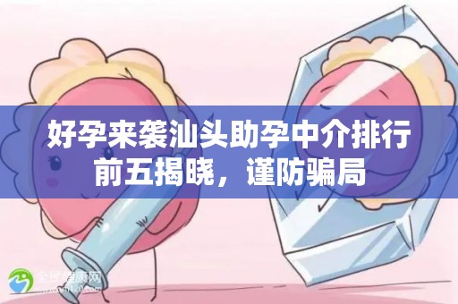 好孕来袭汕头助孕中介排行前五揭晓，谨防骗局