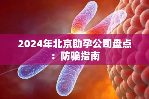2024年北京助孕公司盘点：防骗指南