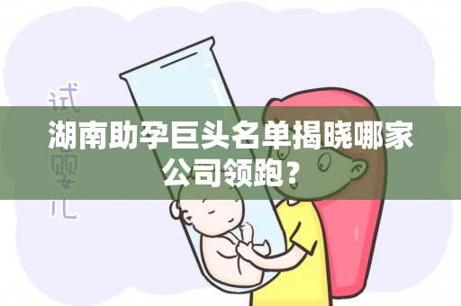 湖南助孕巨头名单揭晓哪家公司领跑？