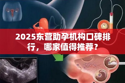 2025东营助孕机构口碑排行，哪家值得推荐？