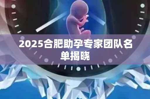 2025合肥助孕专家团队名单揭晓