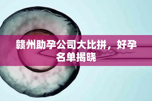 赣州助孕公司大比拼，好孕名单揭晓