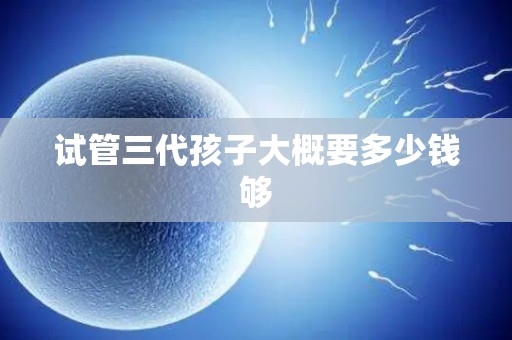 试管三代孩子大概要多少钱够