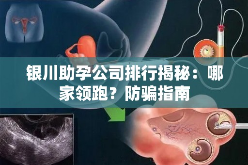 银川助孕公司排行揭秘：哪家领跑？防骗指南
