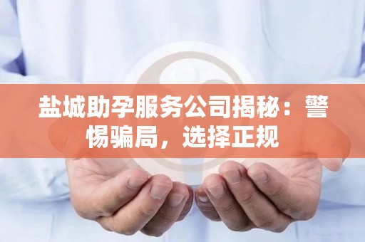 盐城助孕服务公司揭秘：警惕骗局，选择正规