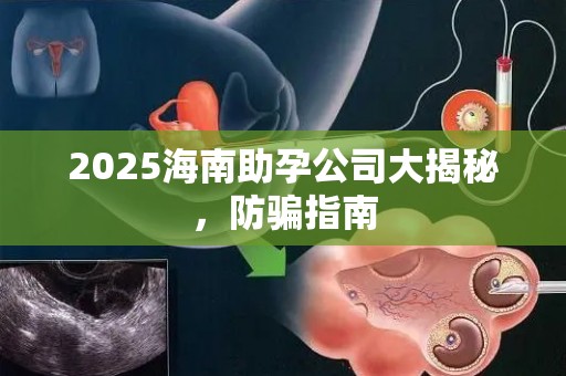 2025海南助孕公司大揭秘，防骗指南