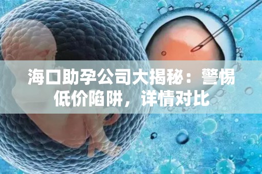海口助孕公司大揭秘：警惕低价陷阱，详情对比