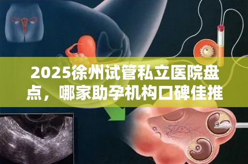 2025徐州试管私立医院盘点，哪家助孕机构口碑佳推荐？
