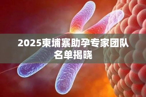 2025柬埔寨助孕专家团队名单揭晓
