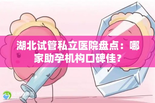 湖北试管私立医院盘点：哪家助孕机构口碑佳？
