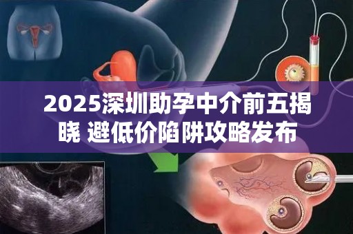 2025深圳助孕中介前五揭晓 避低价陷阱攻略发布