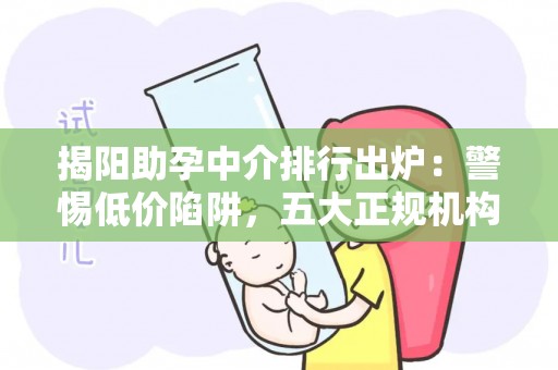 揭阳助孕中介排行出炉：警惕低价陷阱，五大正规机构推荐