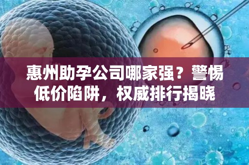 惠州助孕公司哪家强？警惕低价陷阱，权威排行揭晓