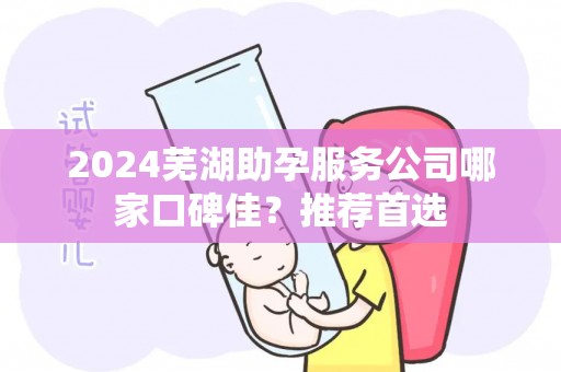2024芜湖助孕服务公司哪家口碑佳？推荐首选