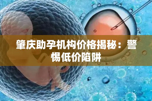 肇庆助孕机构价格揭秘：警惕低价陷阱
