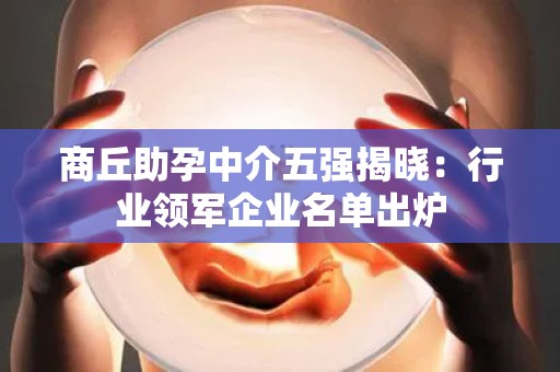 商丘助孕中介五强揭晓：行业领军企业名单出炉