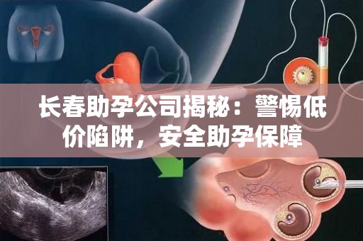 长春助孕公司揭秘：警惕低价陷阱，安全助孕保障