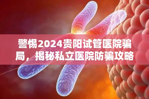 警惕2024贵阳试管医院骗局，揭秘私立医院防骗攻略