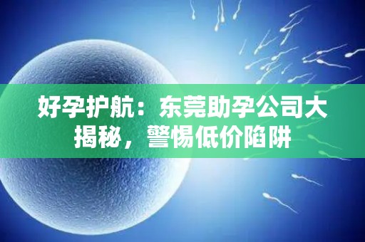 好孕护航：东莞助孕公司大揭秘，警惕低价陷阱