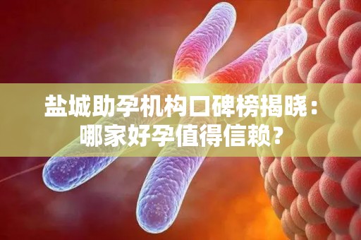 盐城助孕机构口碑榜揭晓：哪家好孕值得信赖？