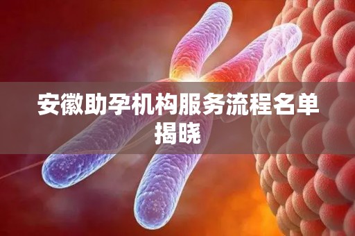 安徽助孕机构服务流程名单揭晓