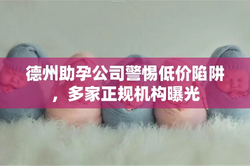 德州助孕公司警惕低价陷阱，多家正规机构曝光