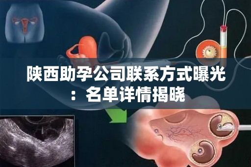 陕西助孕公司联系方式曝光：名单详情揭晓