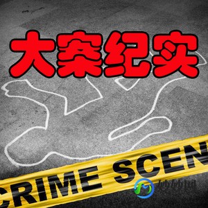 大案要案纪实,大案要案记实的个人主页