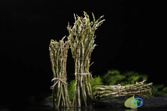 紫皮石斛怎么吃,紫皮石斛怎么吃