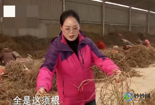 山上的屠宰场,2024最新重口恐怖片《山上的屠宰场》正式上线温馨提示-内...