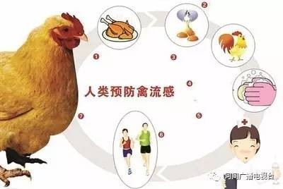 流感h7n9最新消息,禽流感h7n9最新消息,禽流感H7N9最新消息,全球防控进展与应...