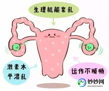 卵巢早衰是调理更有效还是试管更靠谱揭秘