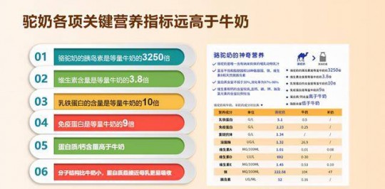 新疆有机骆驼奶粉的营养价值与市场前景全解析
