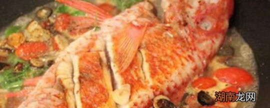鱼生痰,鱼肉生痰吗谢玉兰