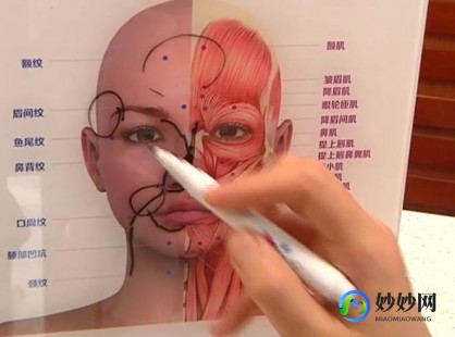 鼻的作用,鼻有什么作用王琳