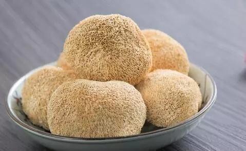 优补猴头菇羊奶粉的营养价值与口碑全面解析