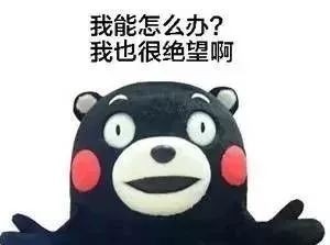 半个月,半个月是多少天