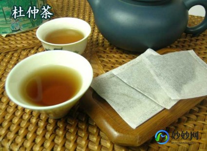 杜仲茶减肥,杜仲茶能减肥吗