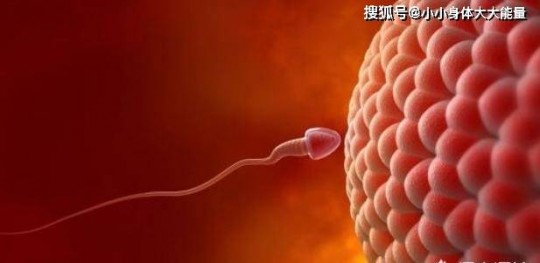 试管婴儿能否实现梦想 永远不成功的可能性分析