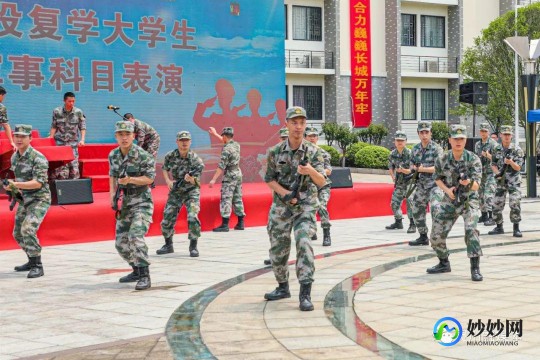 2023的科技新闻10条,2020年关于科技的新闻有哪些